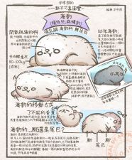 海豹图鉴