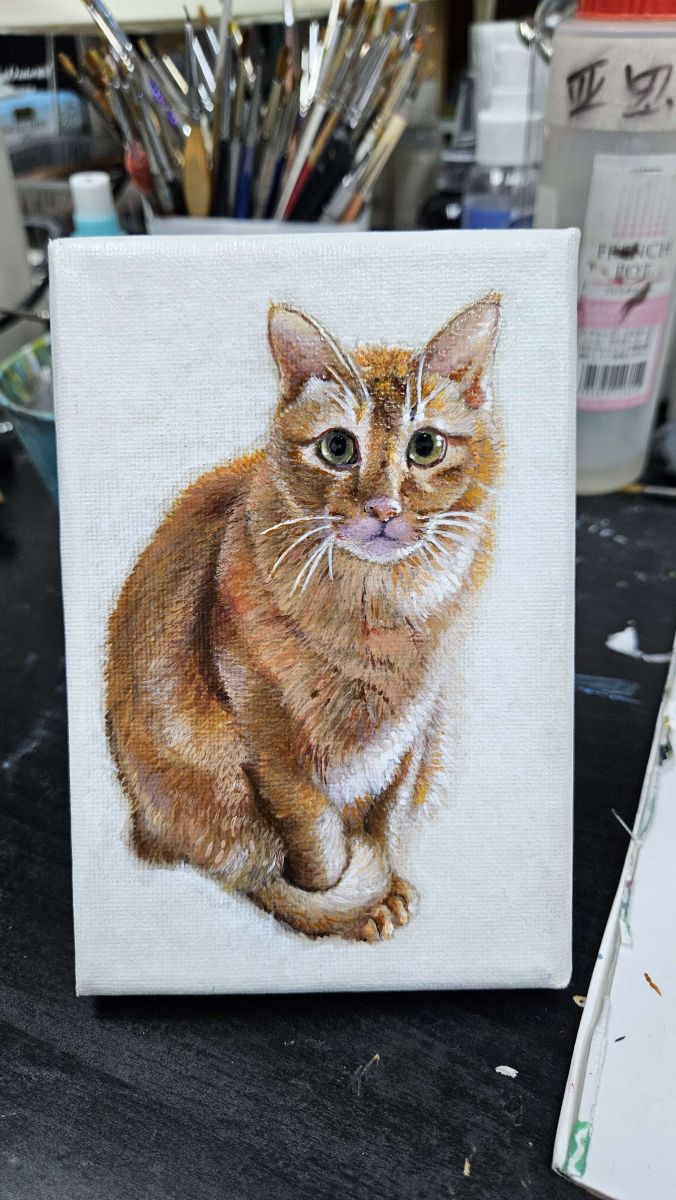 cat