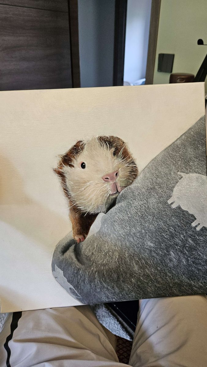 guinea pig