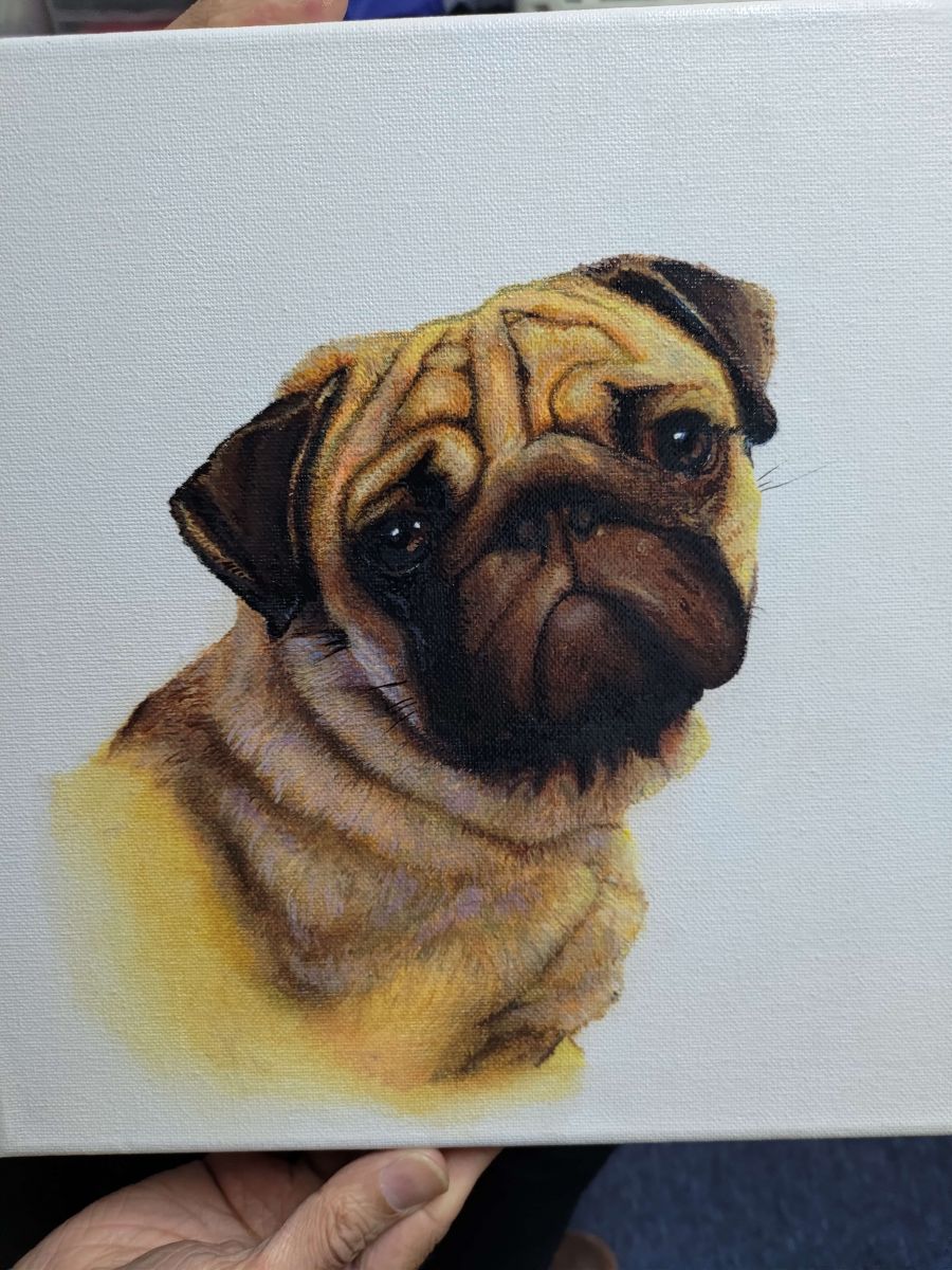 dog